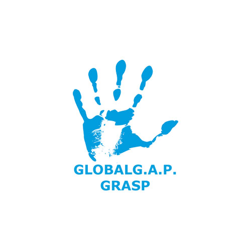 Certificación GRASP