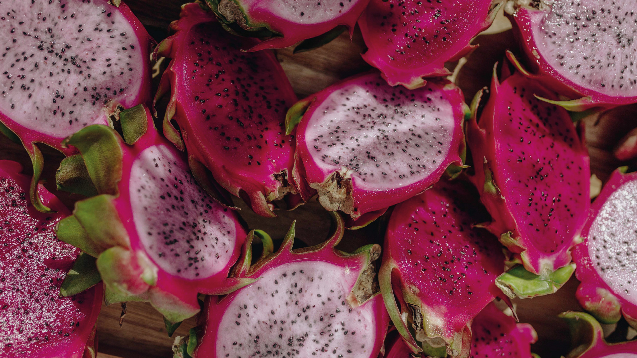Campo productivo de pitahaya