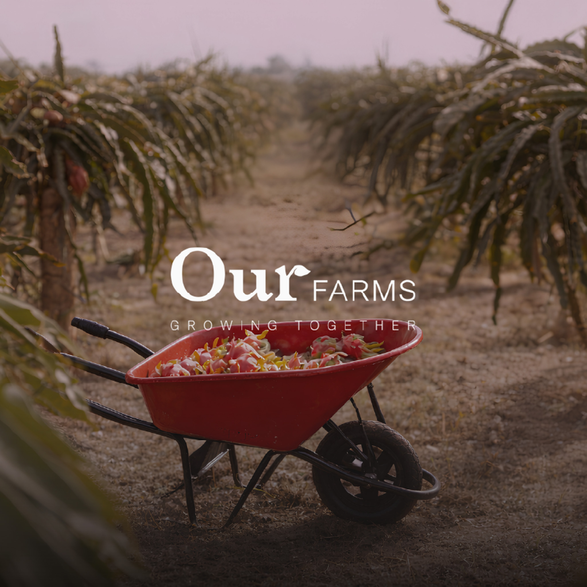 Our Farms